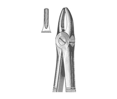 Extracting Forceps English Pattern